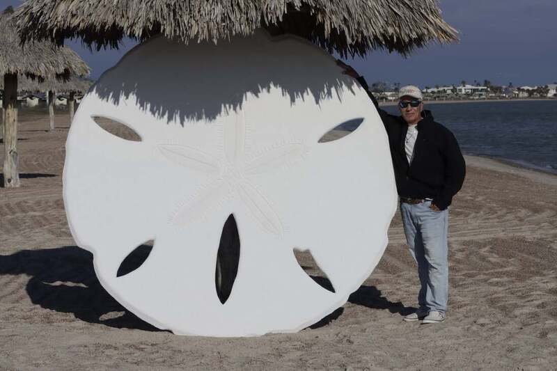 worlds-largest-sandollar